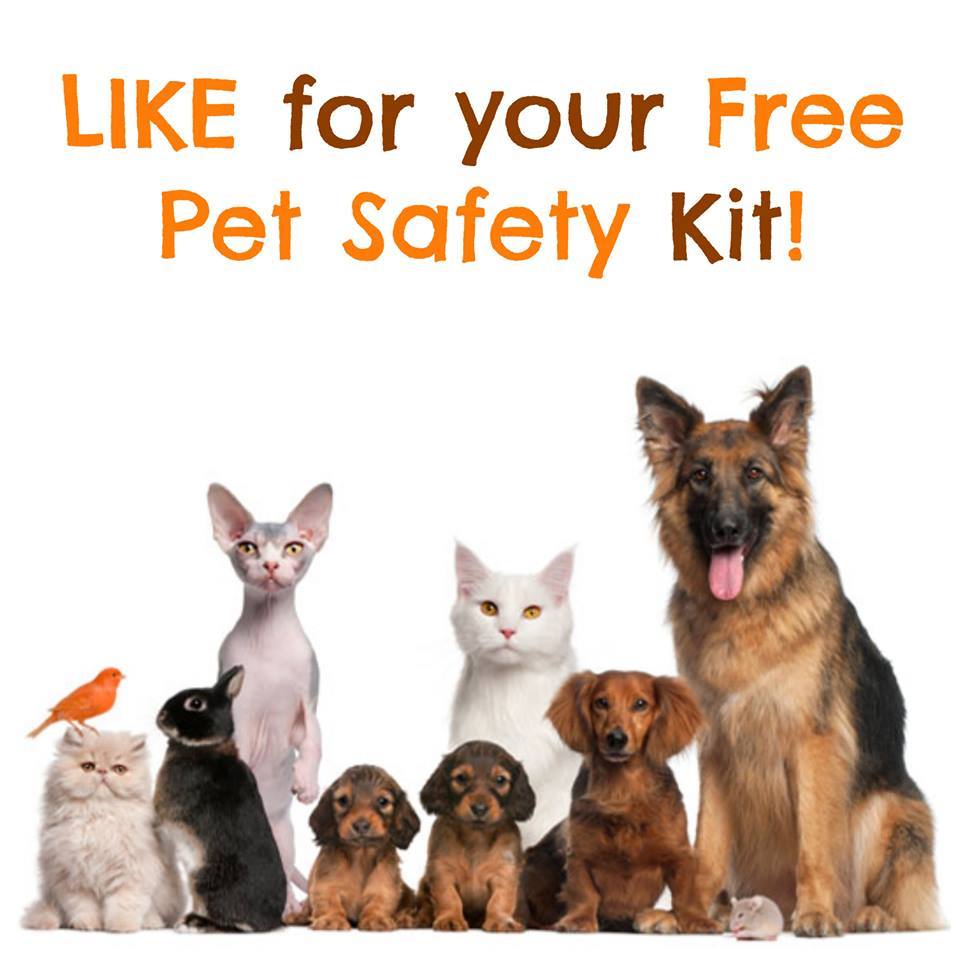 FREE ASPCA Pet Safety Pack : Magnet & Window Decal